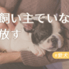 いい飼い主でいなきゃを手放すアイキャッチ